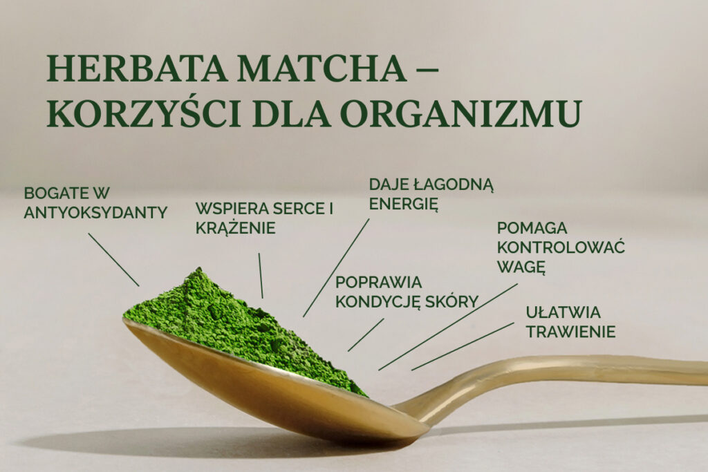 Korzyści zdrowotne herbaty matcha: bogata w przeciwutleniacze, wspiera pracę serca, trawienie, kontrolę masy ciała, poziom energii oraz kondycję skóry. 🍵
