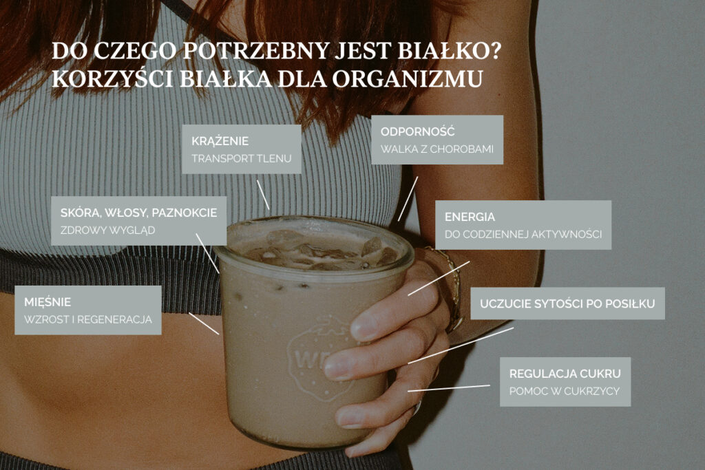 Do czego potrzebny jest białko? Korzyści białka dla organizmu
